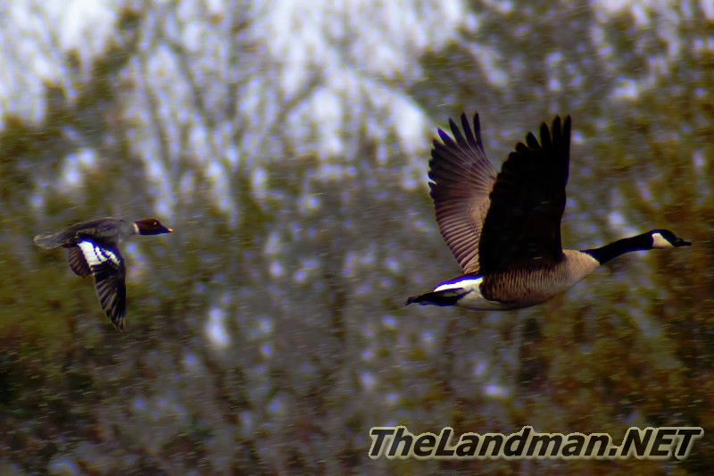 D2 800X533 IMG 0813 D2 800X533 IMG 0813