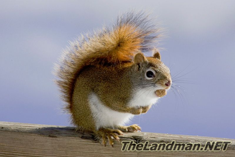 D 800X533 D3Z3822 D 800X533 D3Z3822