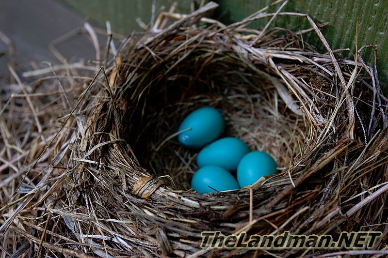 D 800X533 D3Z6774 D 800X533 D3Z6774