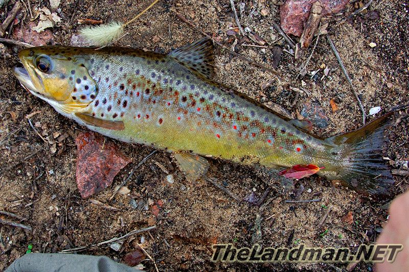 D 800X533 D3Z8712 D 800X533 D3Z8712