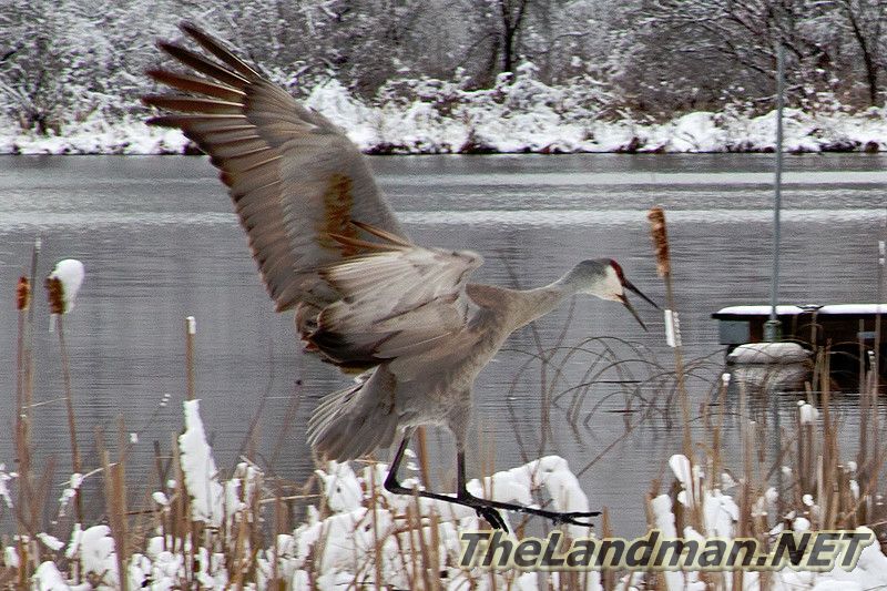 D 800X533 IMG 2944 D 800X533 IMG 2944