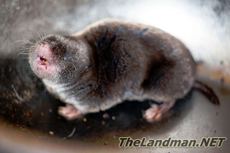 D 800X533 IMG 3013 D 800X533 IMG 3013