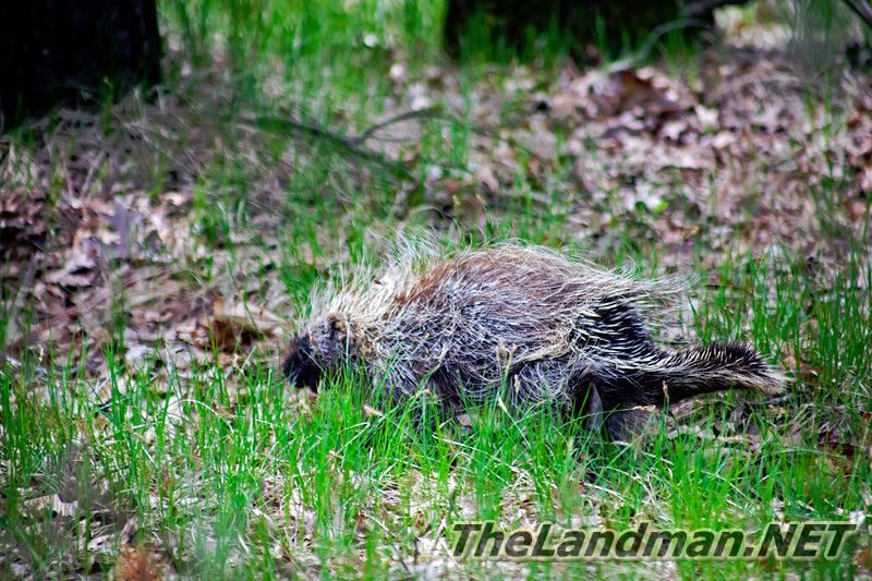 D 800X533 IMG 3339 D 800X533 IMG 3339