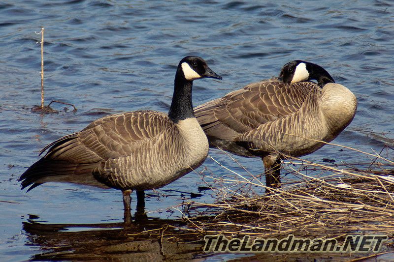 D 800X533 IMG 3360 D 800X533 IMG 3360