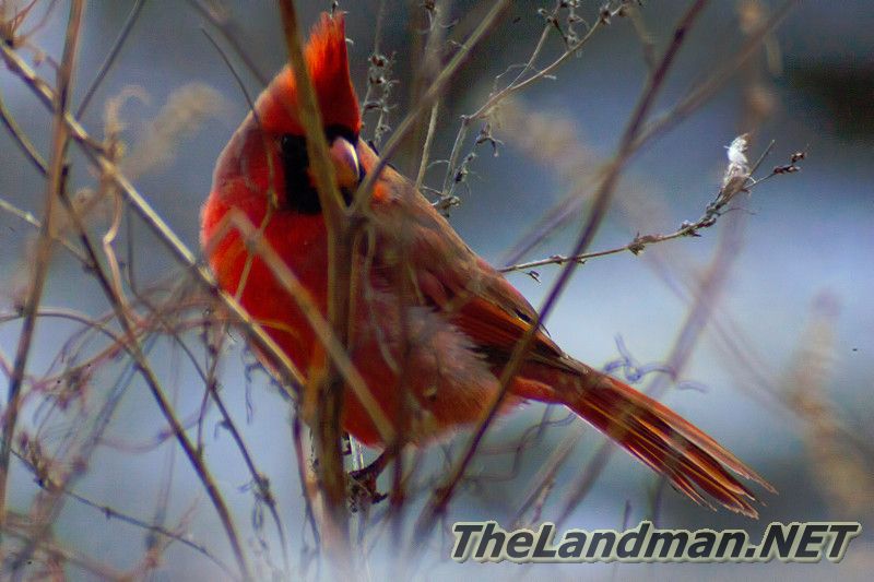 D 800X533 MD3Z0148 D 800X533 MD3Z0148