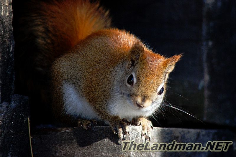 D 800X533 MD3Z0764 D 800X533 MD3Z0764