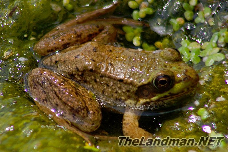 D 800X533 MD3Z4174 D 800X533 MD3Z4174