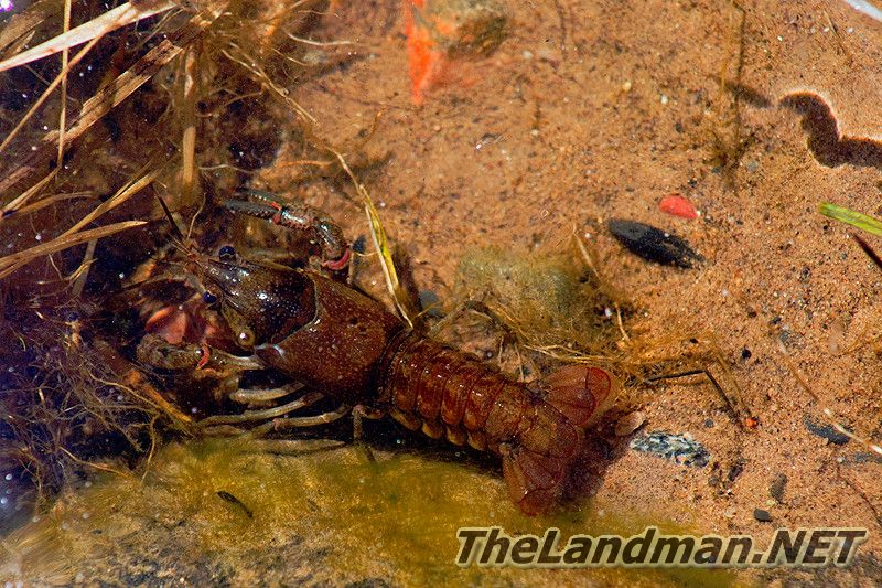 D 800X533 MD3Z90768 D 800X533 MD3Z90768