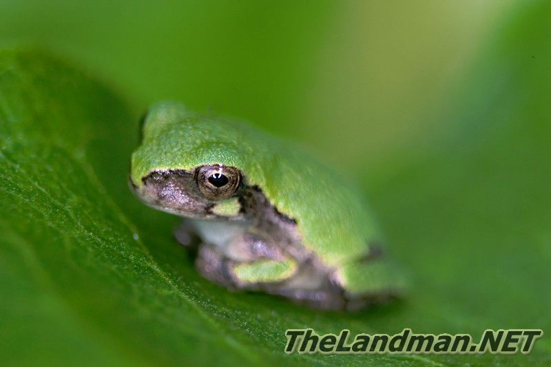 D 800X533 MD3Z93312 D 800X533 MD3Z93312