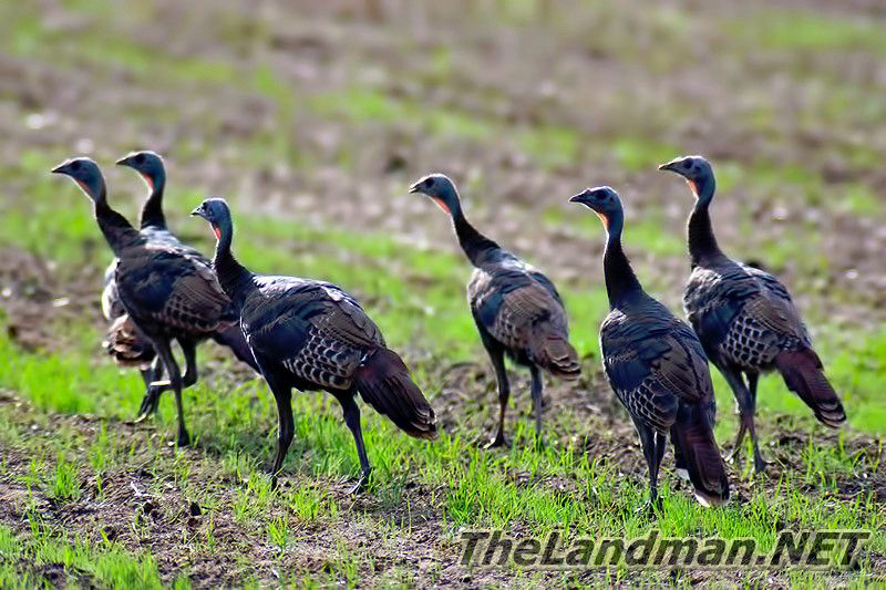 D 800X533 MD3Z9626 D 800X533 MD3Z9626