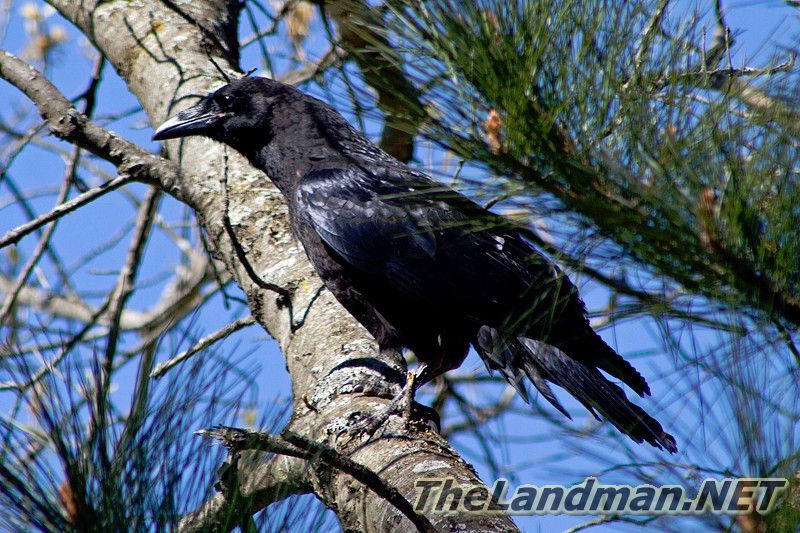 D 800X533 MG 4535 D 800X533 MG 4535