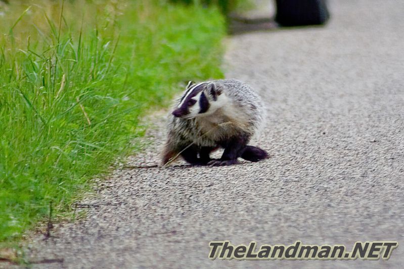 D 800X533  MD3Z1792 D 800X533  MD3Z1792