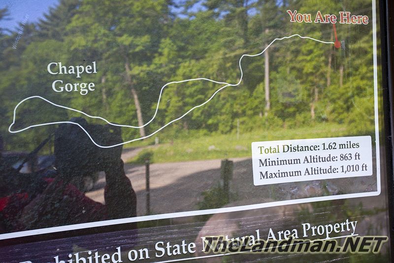 D 800X533 IMG 3494 D 800X533 IMG 3494