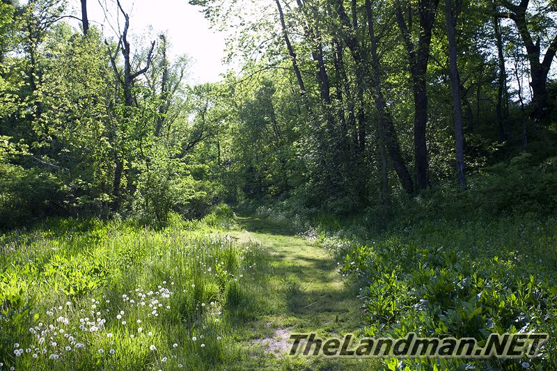 D 800X533 IMG 3495 D 800X533 IMG 3495