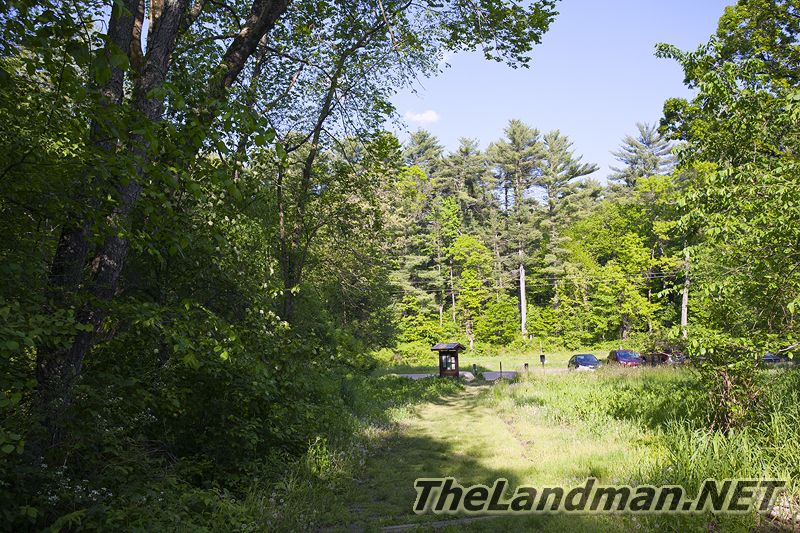 D 800X533 IMG 3496 D 800X533 IMG 3496