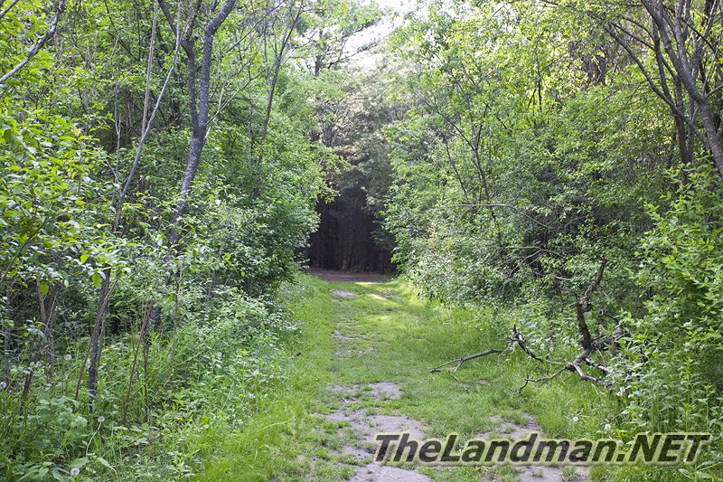 D 800X533 IMG 3497 D 800X533 IMG 3497