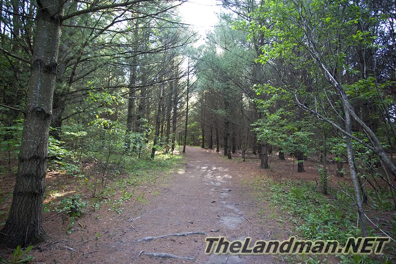 D 800X533 IMG 3498 D 800X533 IMG 3498