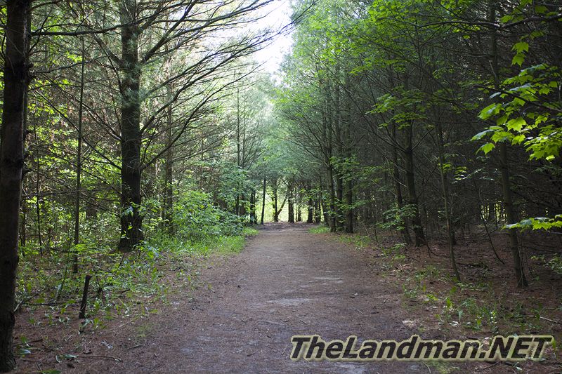 D 800X533 IMG 3499 D 800X533 IMG 3499