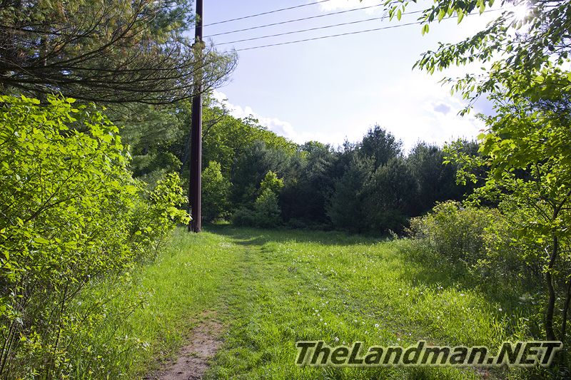 D 800X533 IMG 3500 D 800X533 IMG 3500