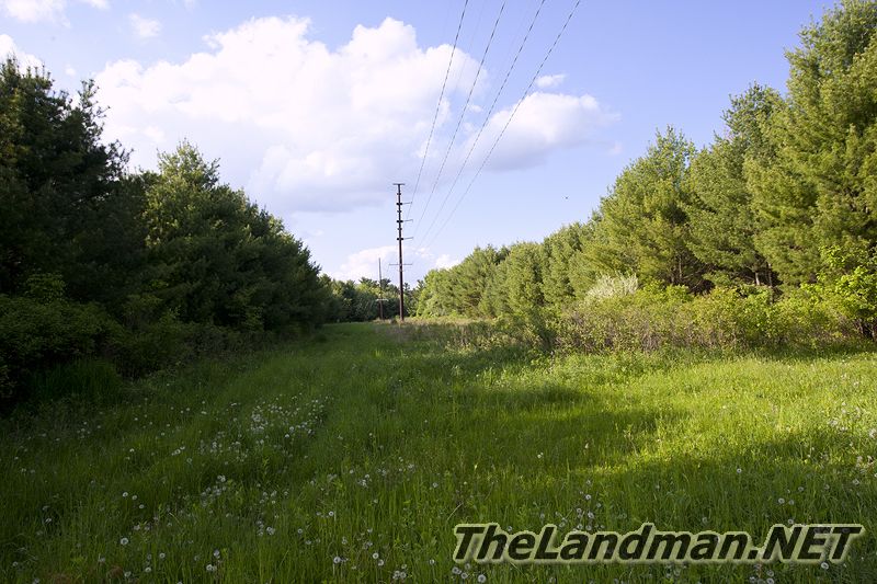 D 800X533 IMG 3501 D 800X533 IMG 3501