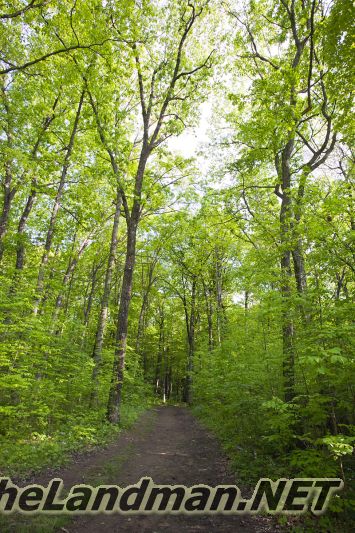 D 800X533 IMG 3502 D 800X533 IMG 3502