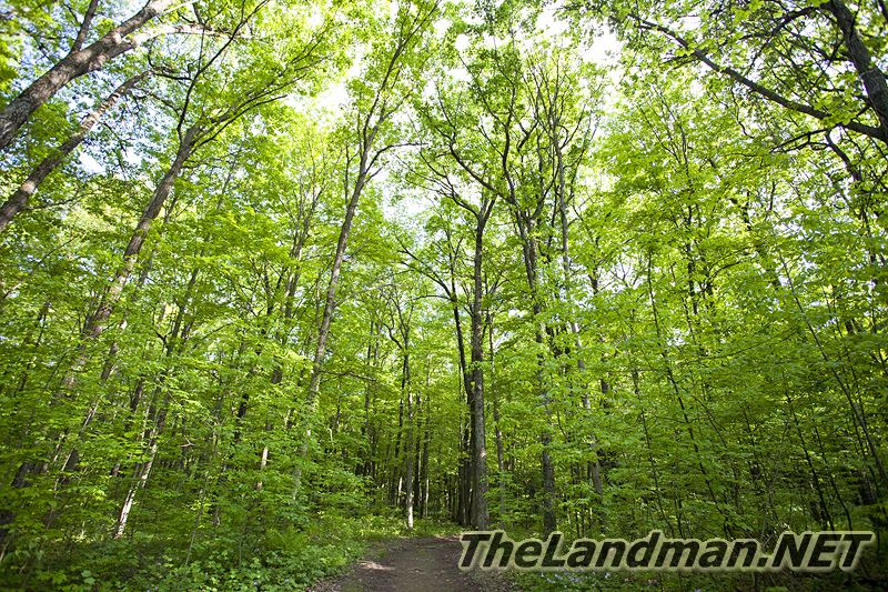 D 800X533 IMG 3503 D 800X533 IMG 3503