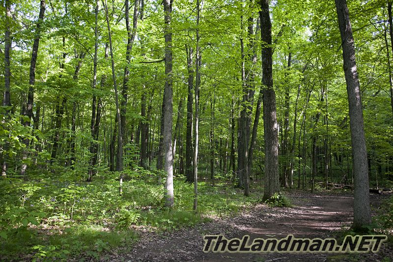 D 800X533 IMG 3504 D 800X533 IMG 3504