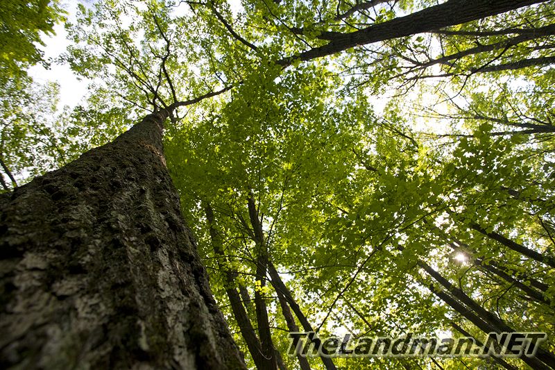 D 800X533 IMG 3505 D 800X533 IMG 3505