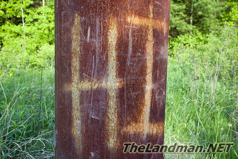 D 800X533 IMG 3525 D 800X533 IMG 3525