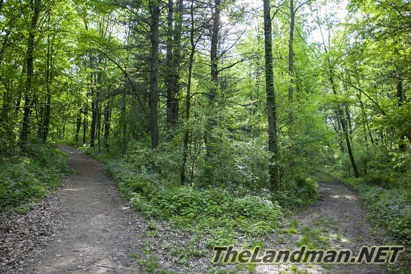 D 800X533 IMG 3507 D 800X533 IMG 3507