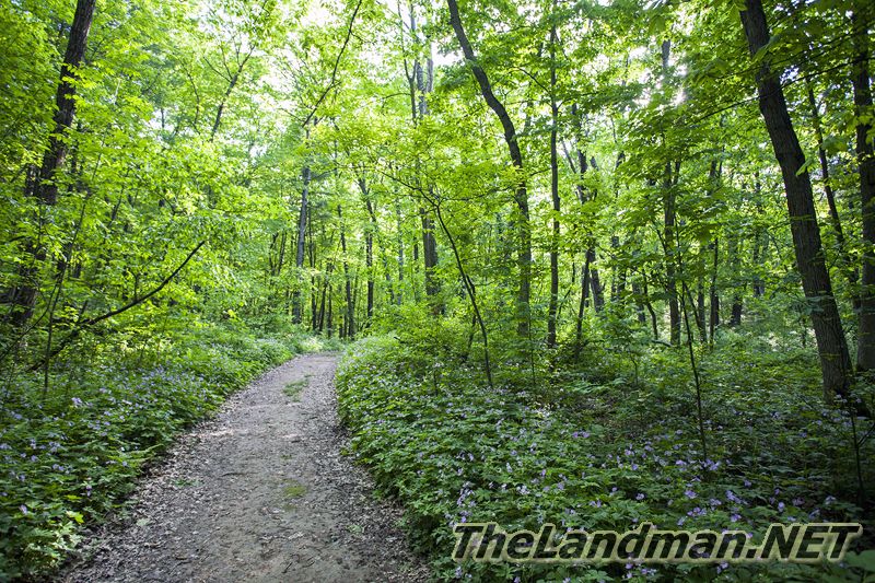 D 800X533 IMG 3509 D 800X533 IMG 3509