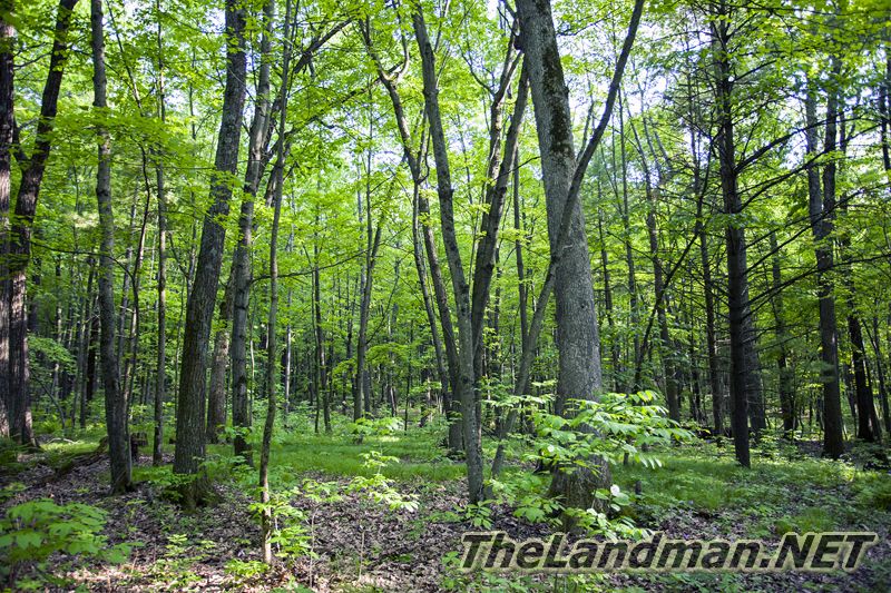 D 800X533 IMG 3510 D 800X533 IMG 3510