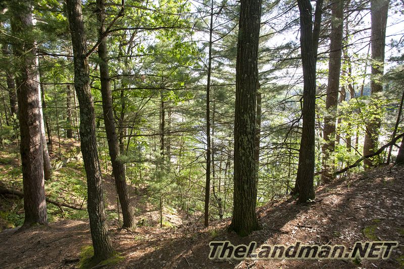 D 800X533 IMG 3515 D 800X533 IMG 3515