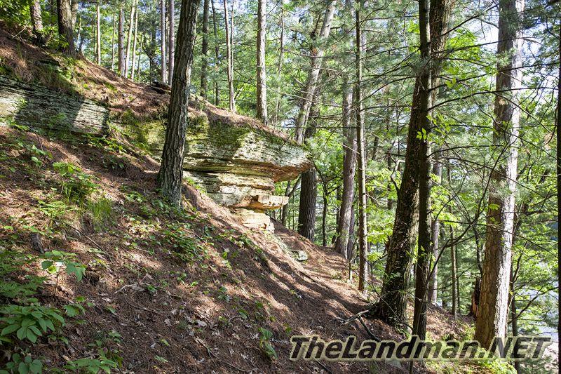 D 800X533 IMG 3518 D 800X533 IMG 3518