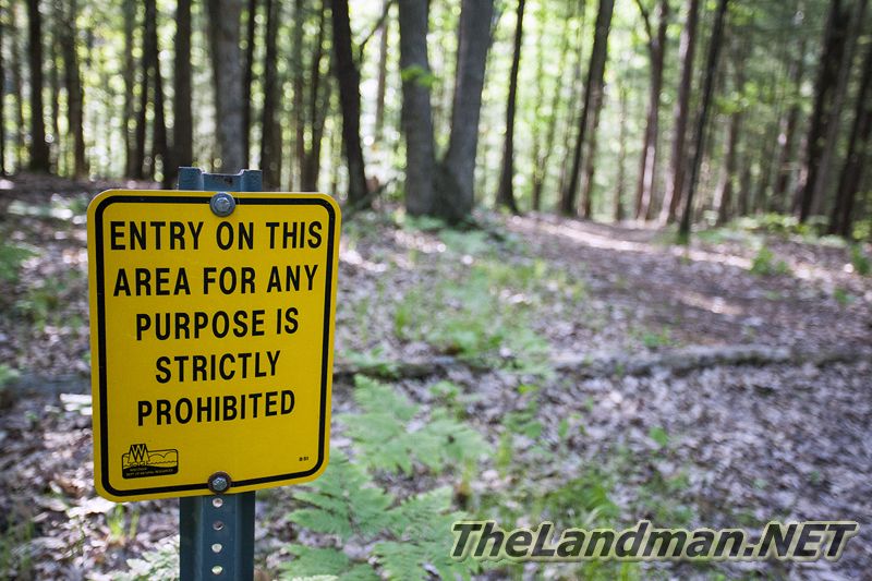 D 800X533 IMG 3522 D 800X533 IMG 3522