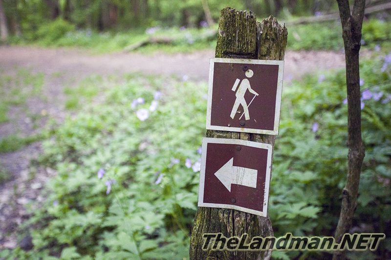 D 800X533 IMG 3524 D 800X533 IMG 3524