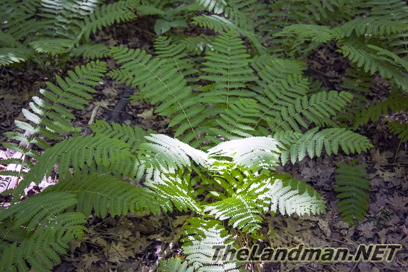 D 800X533 IMG 3572 D 800X533 IMG 3572