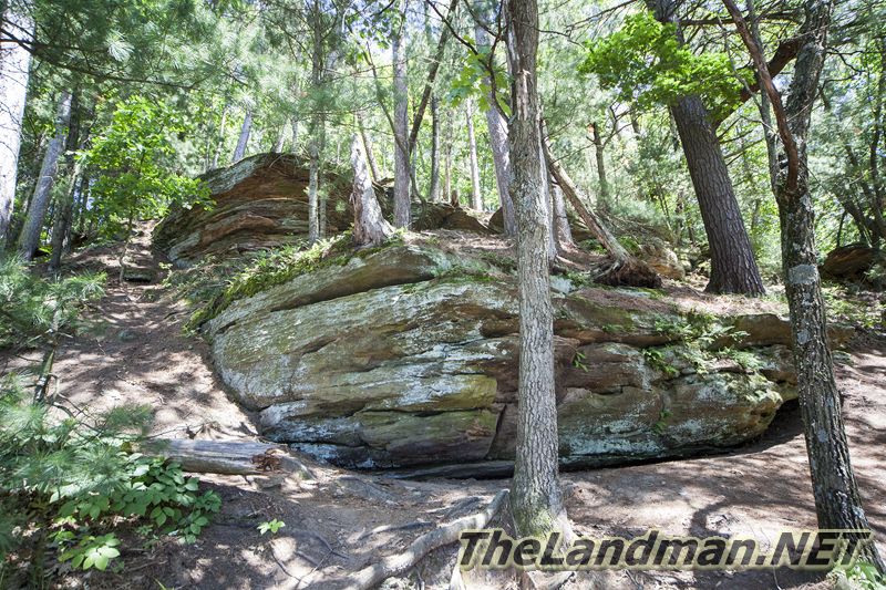 D 800X533 IMG 3581 D 800X533 IMG 3581