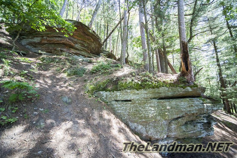 D 800X533 IMG 3582 D 800X533 IMG 3582