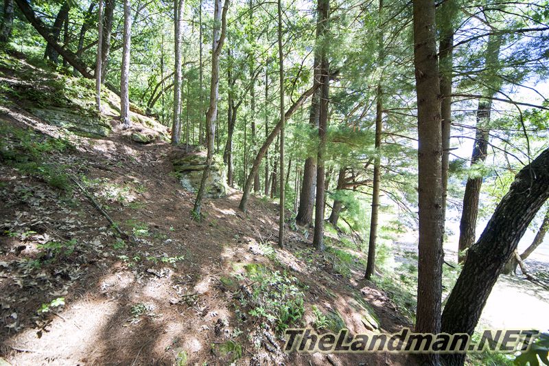 D 800X533 IMG 3584 D 800X533 IMG 3584