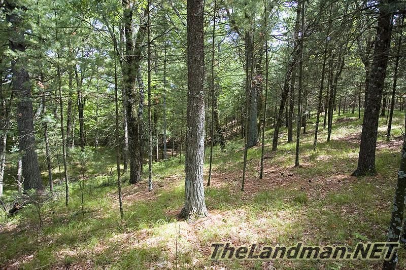 Landman Realty llc 888-696-8695 www.TheLandman.net Landman Realty llc 888-696-8695 www.TheLandman.net