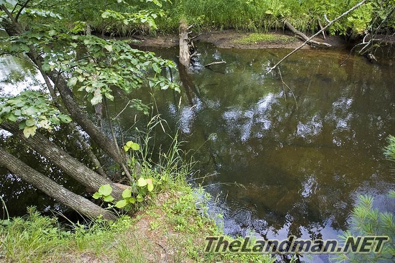 Photo of Big Roche-A-Cri Trout Stream Photo of Big Roche-A-Cri Trout Stream