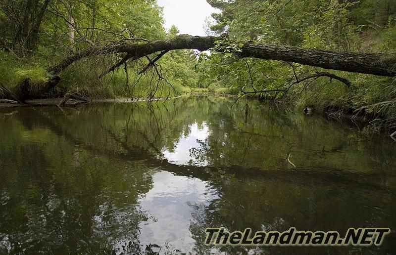 Big Roche-A-Cri Creek Big Roche-A-Cri Creek
