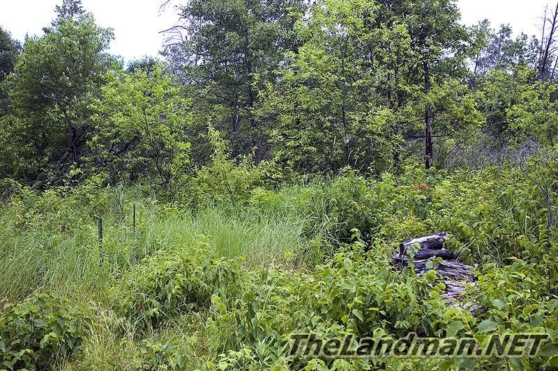Jack Pine Acres is on ATV Routes and Snowmobile Trails Jack Pine Acres is on ATV Routes and Snowmobile Trails