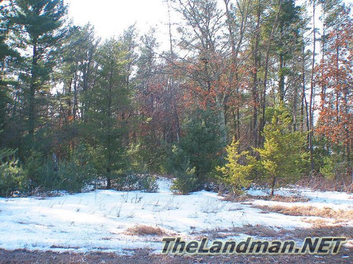 Hide-A-Way Acres is close to Petenwell County Park Hide-A-Way Acres is close to Petenwell County Park