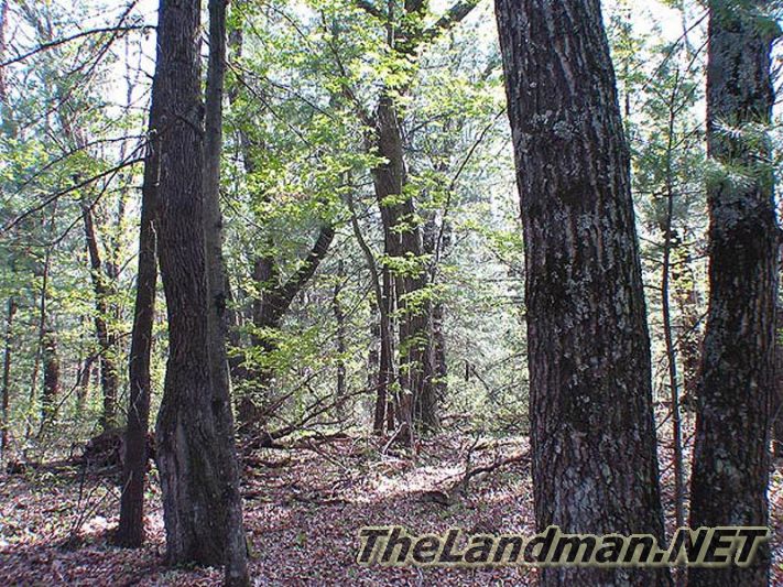 Kennedy Waters is just north of Petenwell County Park Kennedy Waters is just north of Petenwell County Park