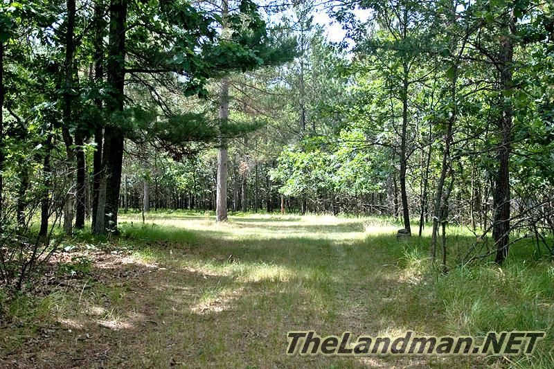 Kingswood Addition to Lake Arrowhead is between Lake Petenwell and Lake Arrowhead