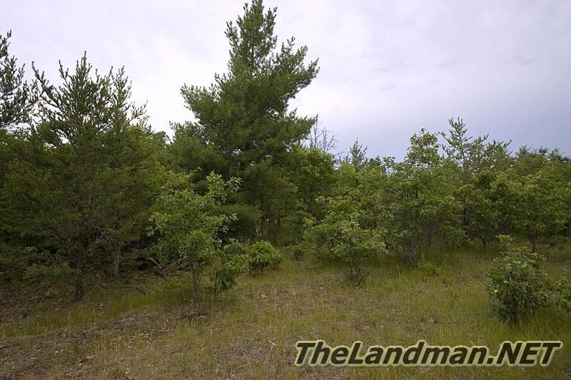Pine Haven is not to far from Lake Petenwell Pine Haven is not to far from Lake Petenwell