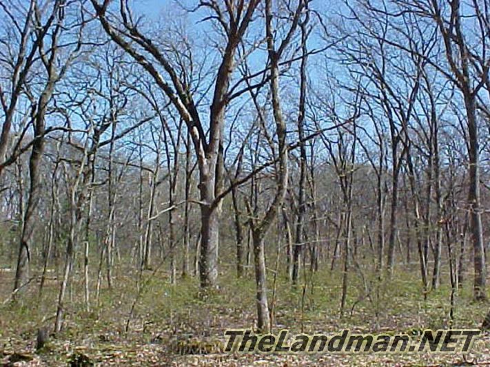 Luella Woods is about 15 minutes from Wisconsin Dells Luella Woods is about 15 minutes from Wisconsin Dells