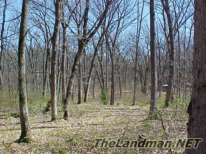 Central Wisconsin Central Wisconsin